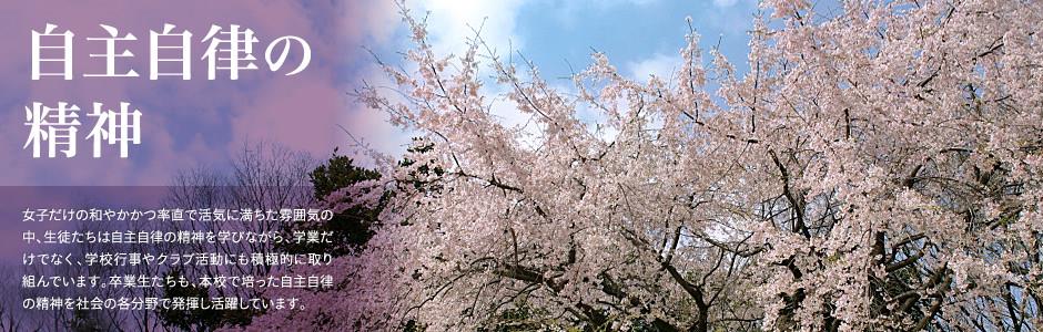 滚球去哪个网站好会员注册